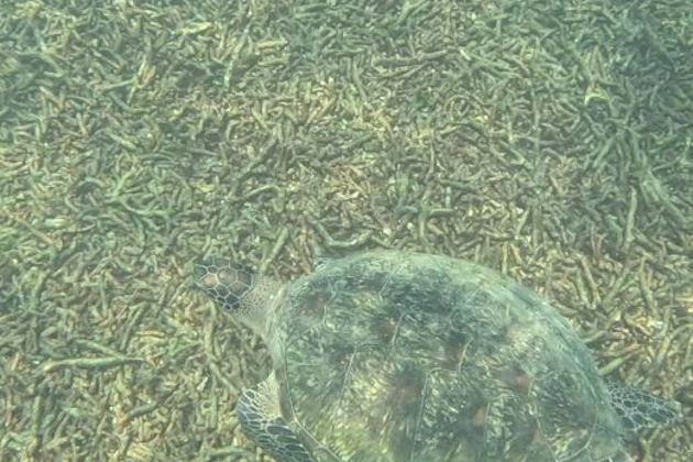 Фото экскурсии - Парусная прогулка по Сиамскому заливу и островам Самуи - 3