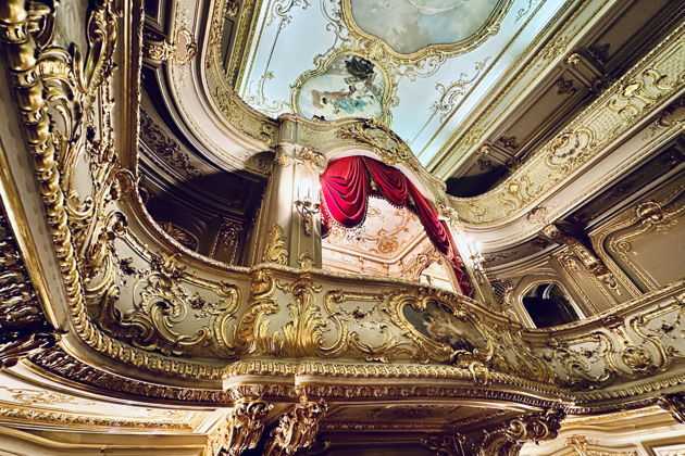 Фото экскурсии - Юсуповский дворец скрывает истинную роскошь за скромным внешним видом - 2