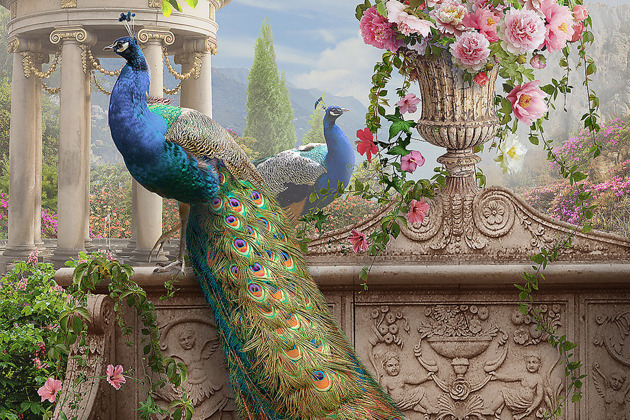 Фото - экскурсия: Дворцы, гарем и павлины Бухары. Мистический храм и царский некрополь