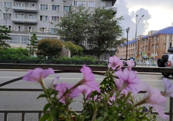 Новосибирск: прогулка по главной улице города - фото 3