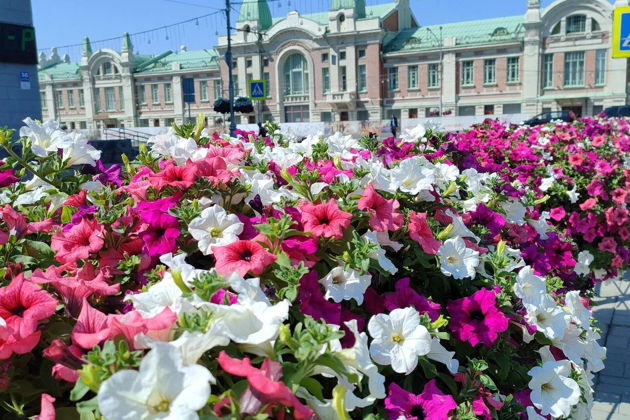 Фото экскурсии - Прогулка по центральной улице Новосибирска - 8