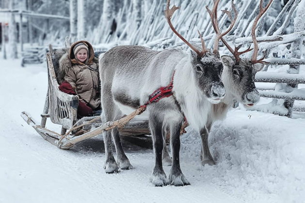 Фото экскурсии - Экскурсия из Петрозаводска с обзором города и визитом к хаски и оленям - 1