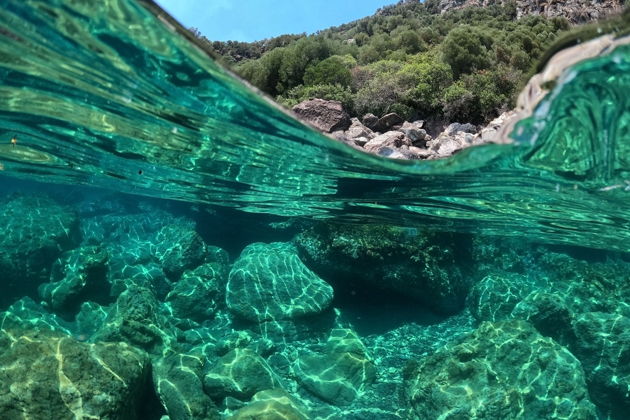 Фото экскурсии - Погружение в подводный мир Фукуока и обед на яхте - 7
