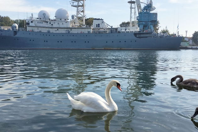 Прогулка по побережью Балтийского моря — Балтийск, Янтарный, Светлогорск-4