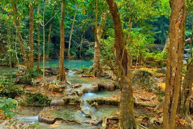 Фото экскурсии - Новогодний Квай: три дня в джунглях, водопады и праздничный гала-ужин - 6