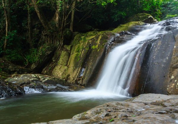 Дикий парк Каенг Крачан: сафари, водопад и рассвет над облаками (3 дня) - фото 3