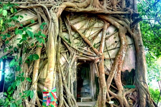 Фото экскурсии - Ампхава - Тайская Венеция - 5