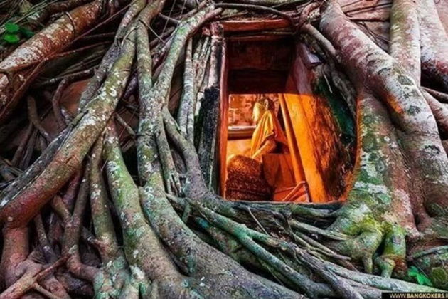 Фото экскурсии - Ампхава - Тайская Венеция - 6