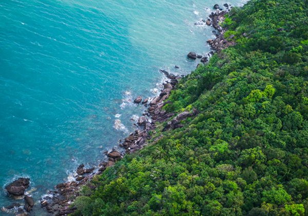 Роскошный снорклинг на скоростном катере к коралловым островам Фукуока - фото 2