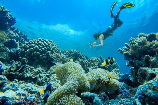 Фото экскурсии - Экскурсия на катере к островам Фукуока с дайвингом, фотосессией и вечерним солнцем - 5