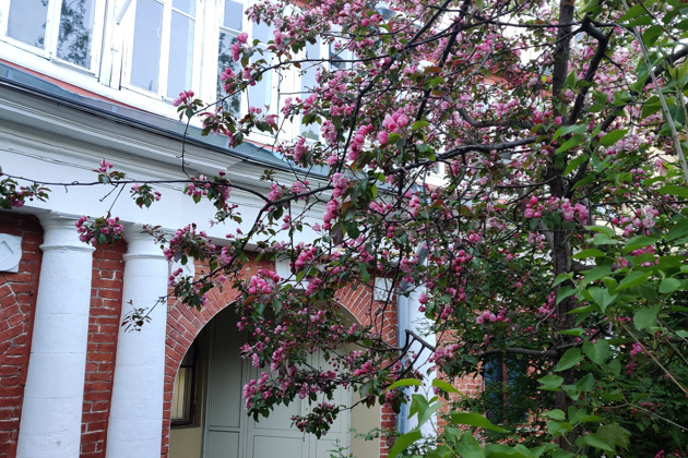 Прогулка по Пречистенке и Остоженке в небольшой компании