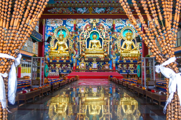 Фото экскурсии - Малый Тибет в Гоа: тибетские монастыри Карнатаки, подлинные ритуалы и местная кухня - 2