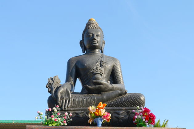 Фото экскурсии - Малый Тибет в Гоа: тибетские монастыри Карнатаки, подлинные ритуалы и местная кухня - 4