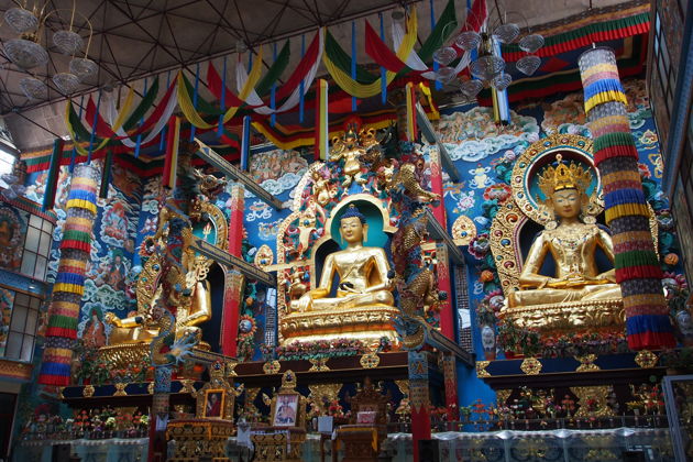 Фото экскурсии - Малый Тибет в Гоа: тибетские монастыри Карнатаки, подлинные ритуалы и местная кухня - 5