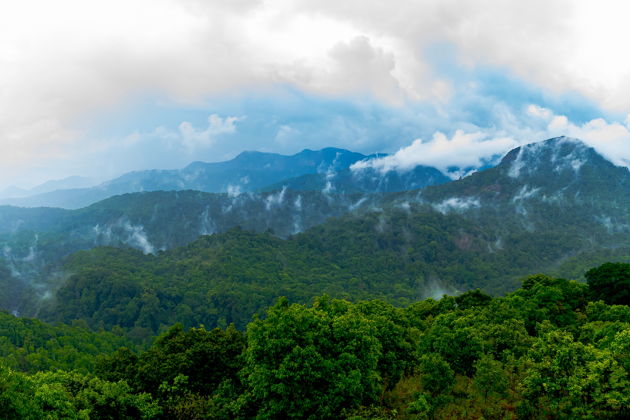 Фото экскурсии - Отдых в горах Западных Гат: уединение в джунглях, живописные виды и экологичные домики - 3
