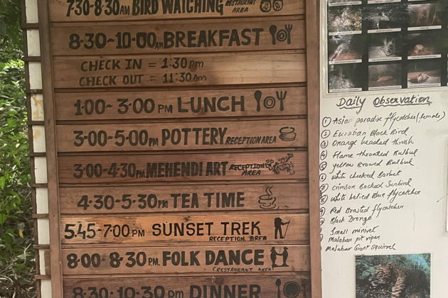 Фото экскурсии - Отдых в горах Западных Гат: уединение в джунглях, живописные виды и экологичные домики - 4