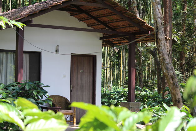 Фото экскурсии - Отдых в горах Западных Гат: уединение в джунглях, живописные виды и экологичные домики - 6