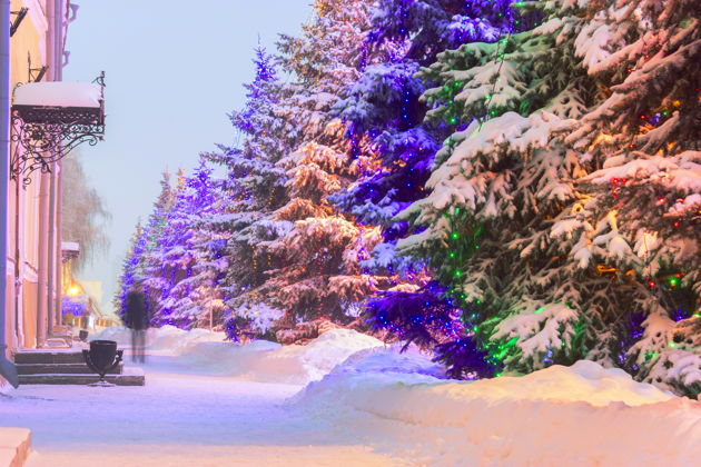 Фото экскурсии - Новогодняя поездка в Казань - 3