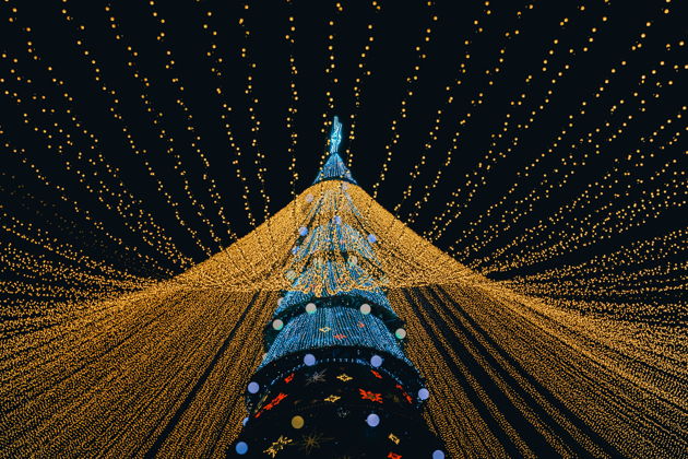 Фото экскурсии - Новогодняя поездка в Казань - 5