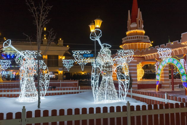 Фото экскурсии - Новогодняя поездка в Казань - 6
