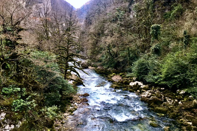 Фото экскурсии - Индивидуальный тур к озеру Рица - 6