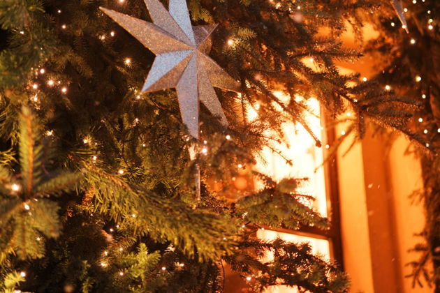 Фото экскурсии - Зеленоградск: Волшебный аудиоспектакль по улицам старинного города - 9