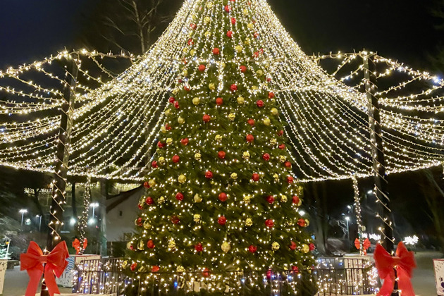 Фото - экскурсия: Зеленоградск: Волшебный аудиоспектакль по улицам старинного города