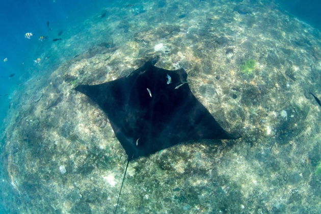 Фото экскурсии - Исследуйте Нуса Пенида и погрузитесь в мир снорклинга - 12