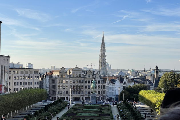 Фото экскурсии - Брюссель глазами местного: истории, гастрономия и скрытые уголки - 2