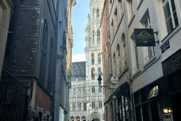 Фото экскурсии - Брюссель глазами местного: истории, гастрономия и скрытые уголки - 6