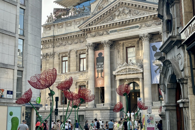 Фото - экскурсия: Брюссель за день: погружение в историю, кухню и ритм города