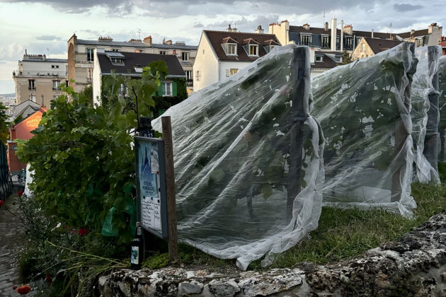 Фото экскурсии - Прогулка по Монмартру с дегустацией сладостей - 1