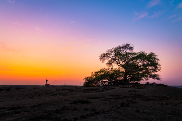 Фото - экскурсия: Путешествие по Бахрейну: от южных пустынь до столичного сердца с легендами и наследием ЮНЕСКО