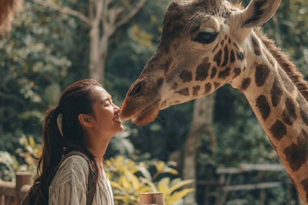 Фото - экскурсия: Сафари-тур и отдых на Звездном пляже в экзотическом Фукуока