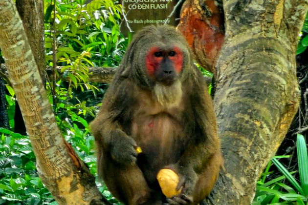 Фото экскурсии - Сафари-тур и отдых на Звездном пляже в экзотическом Фукуока - 9