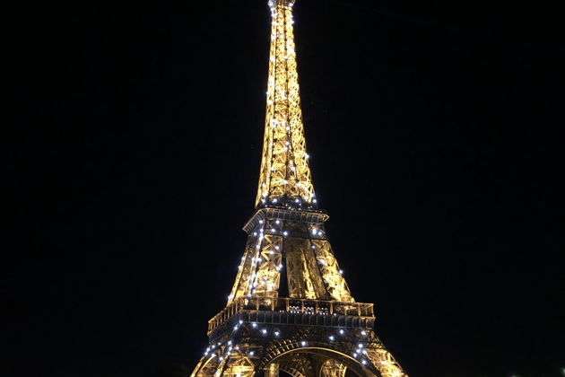 Фото экскурсии - Вечерняя прогулка от Елисейских Полей к Эйфелевой башне с историями и огнями Парижа - 2