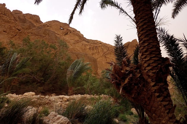 Фото экскурсии - Двухдневное путешествие в Сахару самую большую пустыню планеты - 12