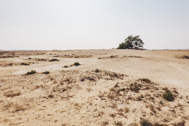 Фото - экскурсия: Погружение в историю Бахрейна: пять тысячелетий за день