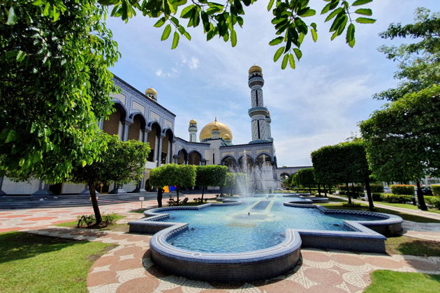 Фото экскурсии - Бруней Даруссалам: богатство султанов и загадки острова Борнео - 7