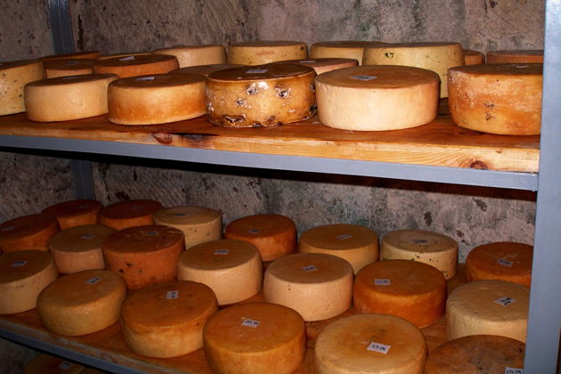 Фото экскурсии - Винный сыр и рыба на углях в гастротуре к армянскому морю - 7