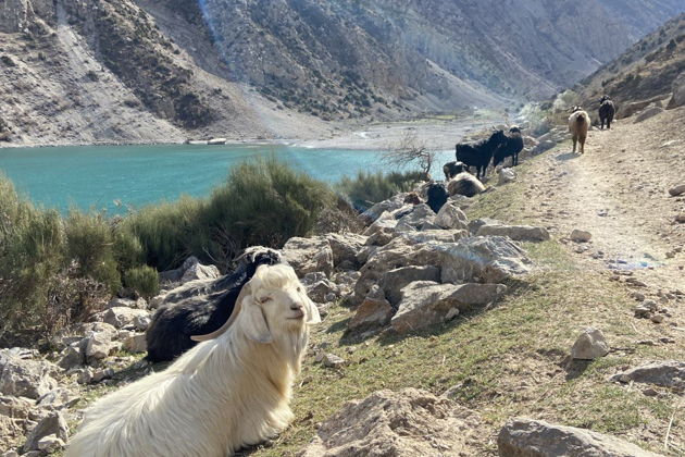 Фото экскурсии - Однодневный тур на Семь Озер из Самарканда - 9
