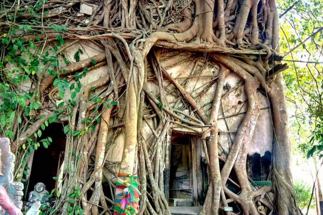 Фото экскурсии - Погружение в настоящий Таиланд из Паттайи - 12