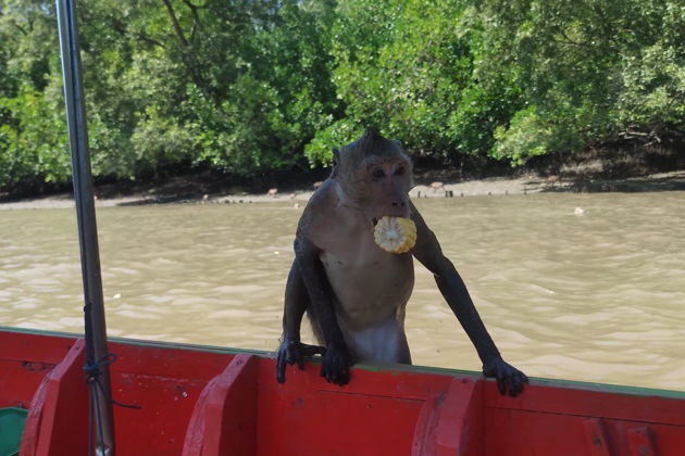 Фото экскурсии - Погружение в настоящий Таиланд из Паттайи - 7