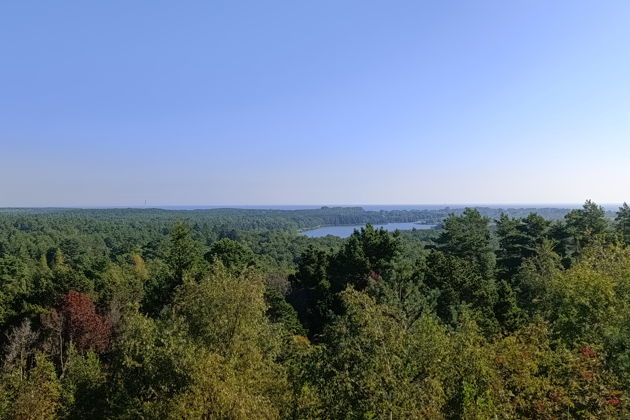 Фото экскурсии - Куршская коса - это поразительный заповедник дикой природы - 5