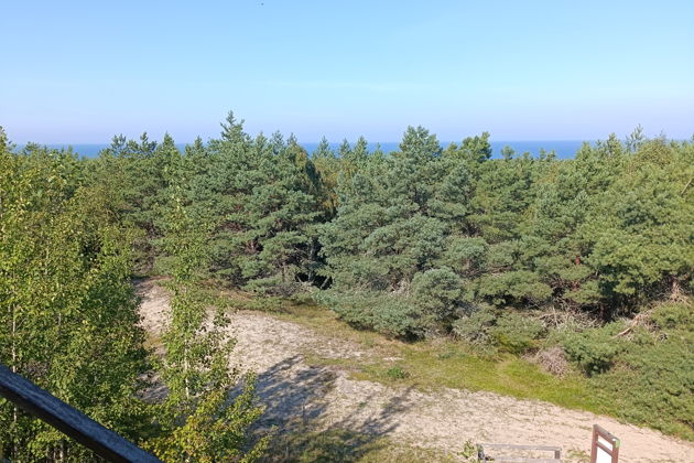 Фото экскурсии - Куршская коса - это поразительный заповедник дикой природы - 6