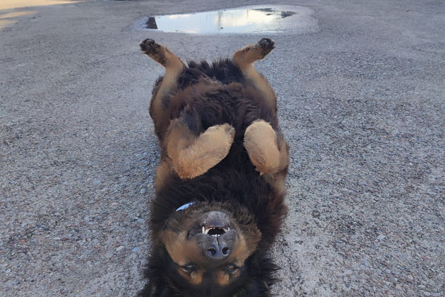 Фото экскурсии - Однодневный маршрут по Балтийску, Янтарному, Филинской бухте и Светлогорску - 7