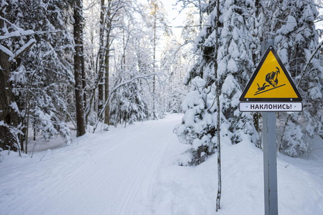 Фото экскурсии - Зимняя сказка в Москве: Прогулка на снегоходах - 12