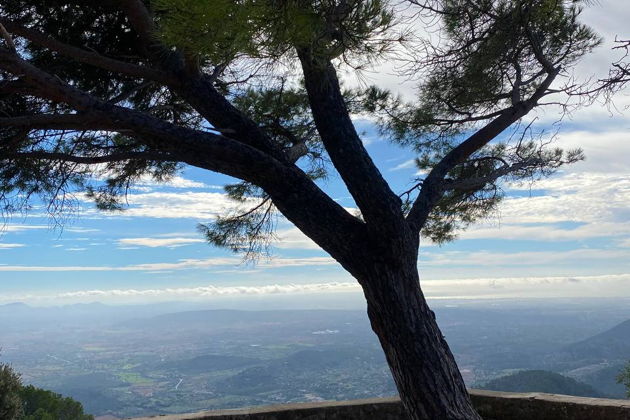 Фото экскурсии - Прогулка по следам рыцарей к крепости Аларо - 5