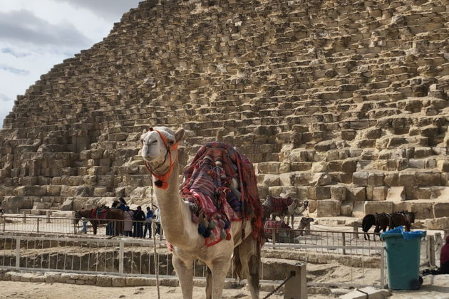 Фото экскурсии - Прогулка по Каиру с гидом-египтологом - 4