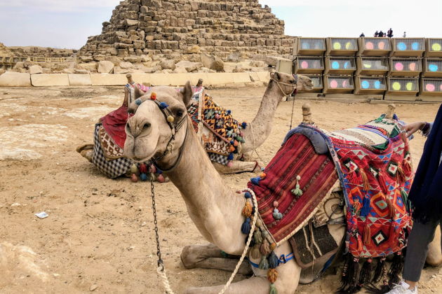 Фото экскурсии - Прогулка по Каиру с гидом-египтологом - 5